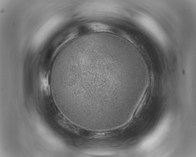 X0000067901198200604201327