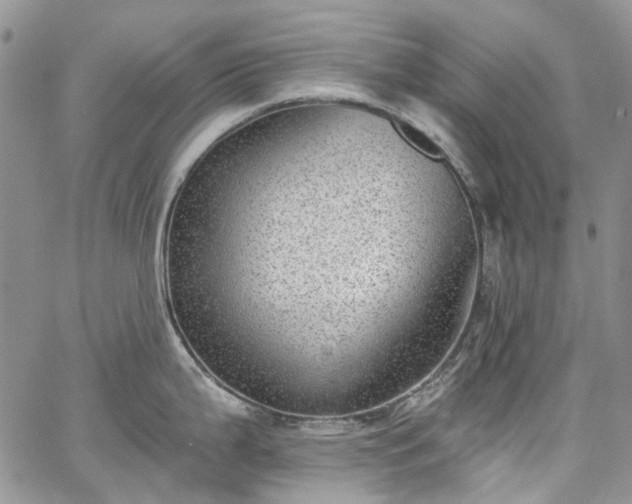 X0000067901199200604201327