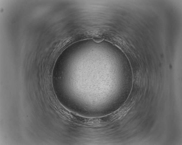 X0000067901201200604201326