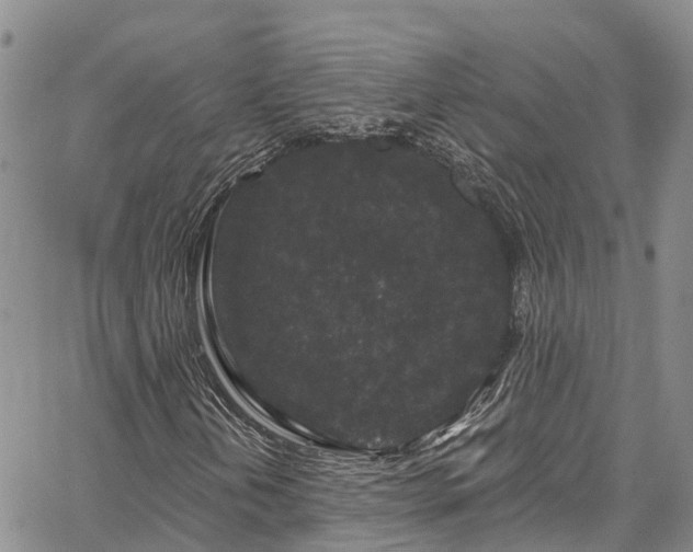 X0000067901202200604201326