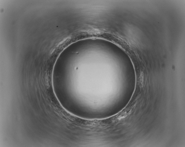 X0000067901205200604201326