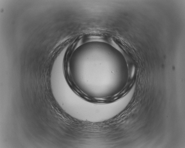 X0000067901206200604201326