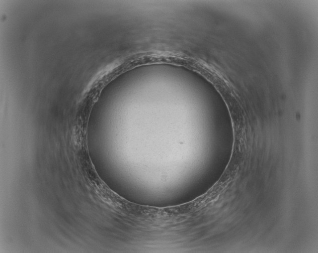 X0000067901207200604201326