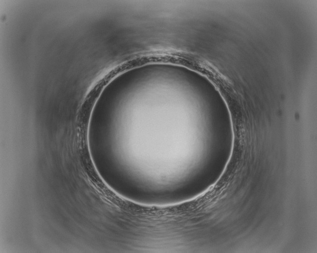 X0000067901208200604201326