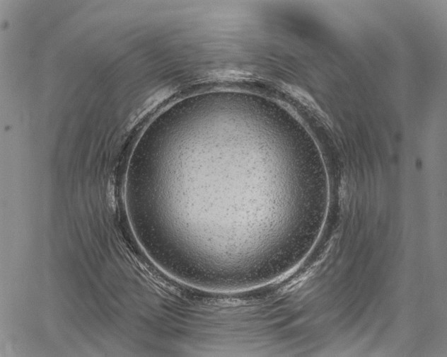 X0000067901209200604201326