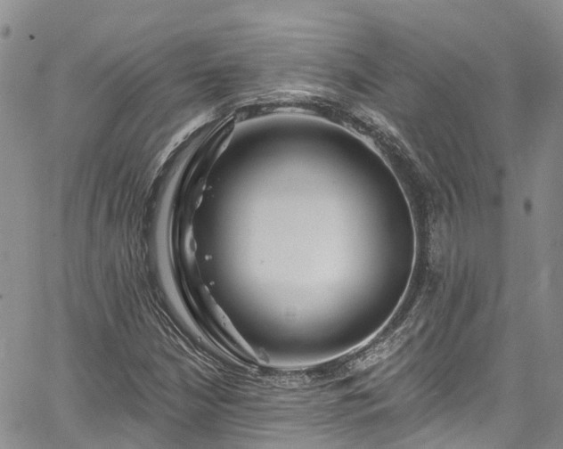 X0000067901210200604201326