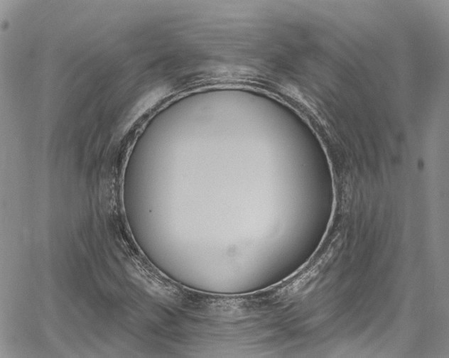 X0000067901211200604201326