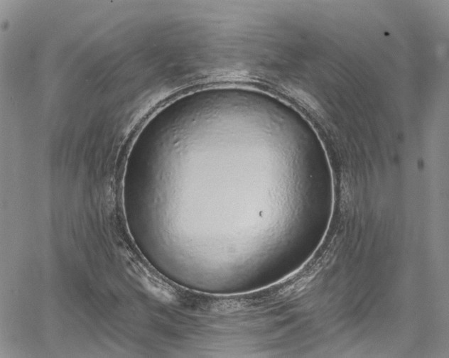 X0000067901212200604201326