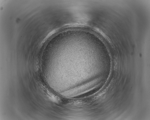 X0000067901213200604201326