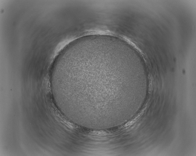 X0000067901215200604201326