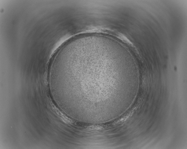 X0000067901216200604201326