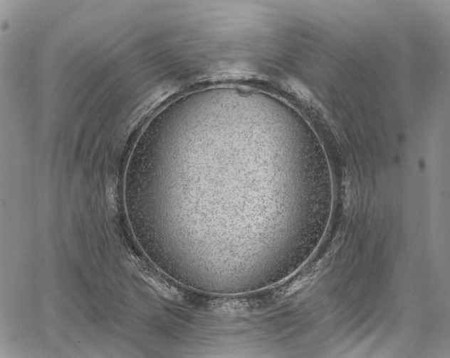 X0000067901217200604201326