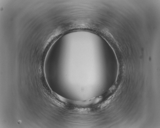 X0000067901218200604201326