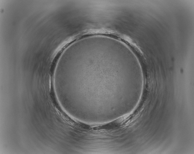 X0000067901221200604201326