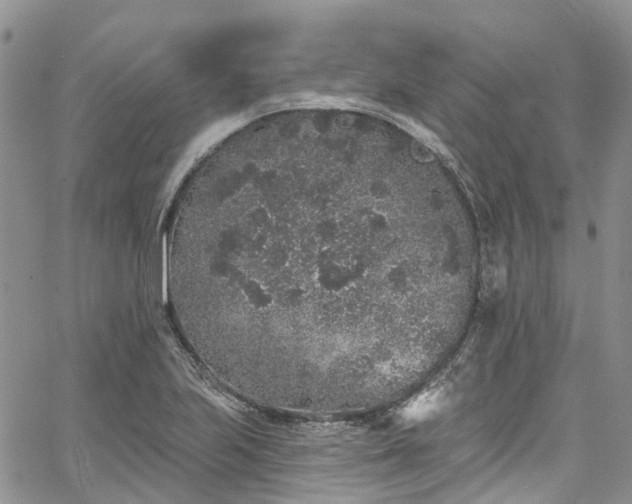 X0000067901223200604201326