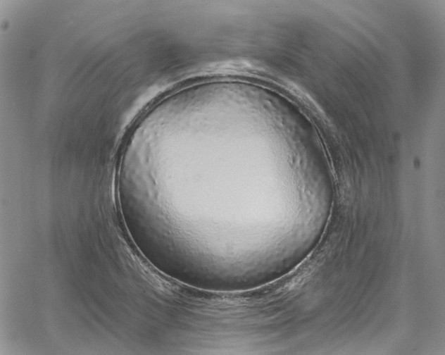 X0000067901224200604201326