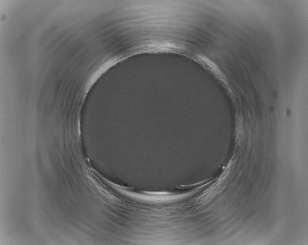 X0000067901226200604201326