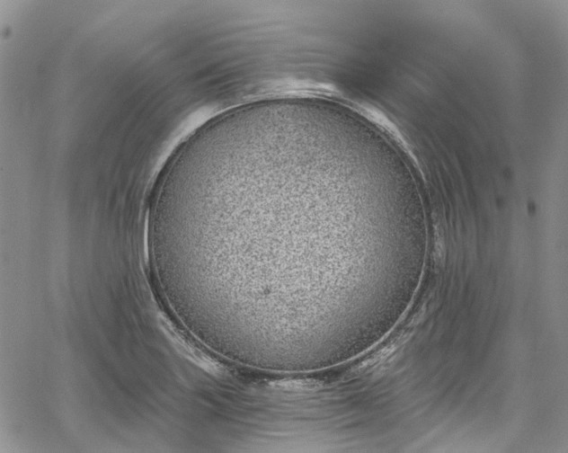 X0000067901227200604201326