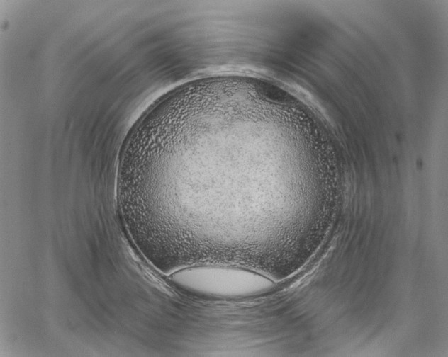 X0000067901228200604201326