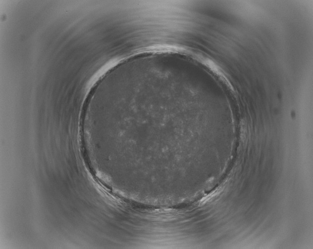 X0000067901229200604201326