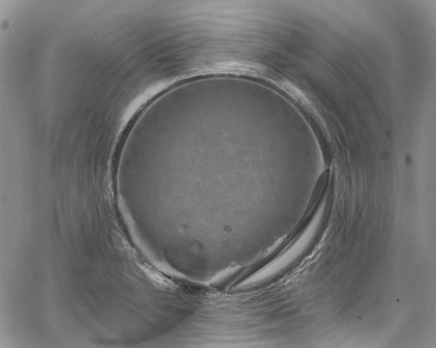 X0000067901230200604201326