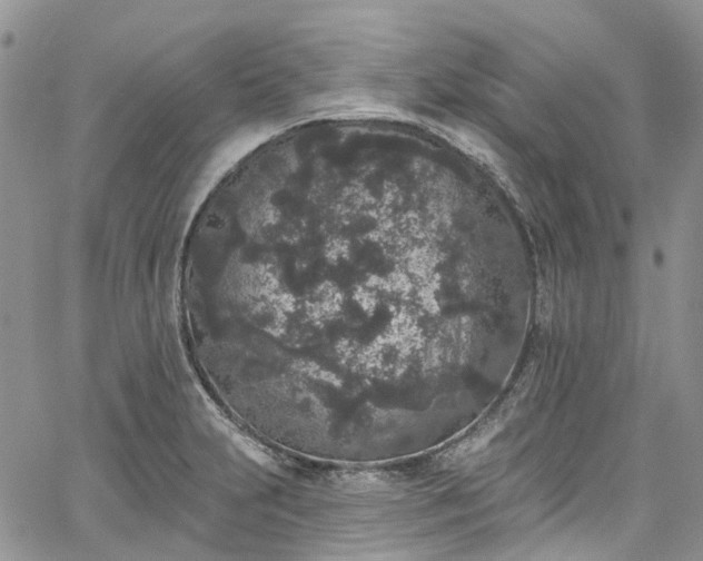 X0000067901231200604201326