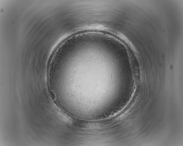 X0000067901232200604201326