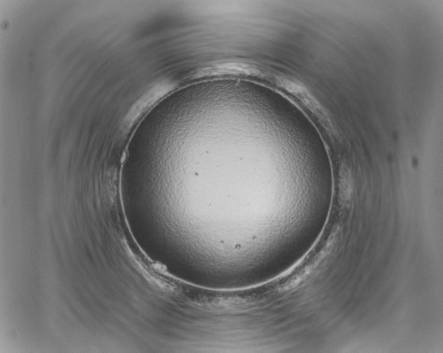 X0000067901233200604201326