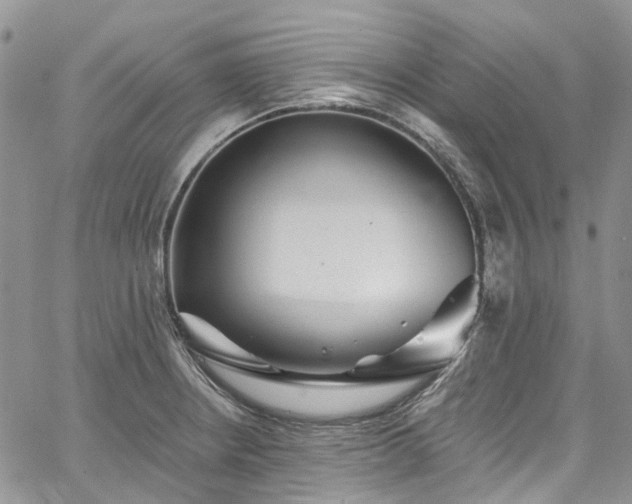 X0000067901234200604201326