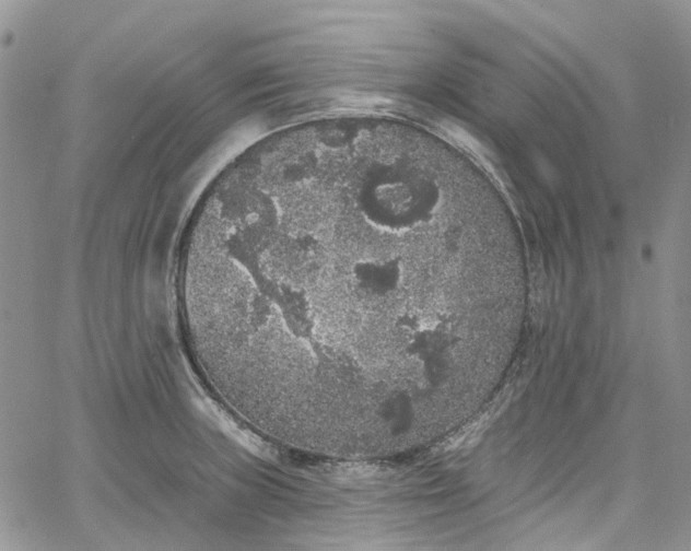 X0000067901235200604201326