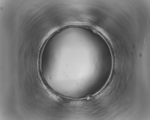 X0000067901237200604201326