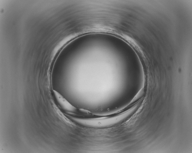 X0000067901238200604201326