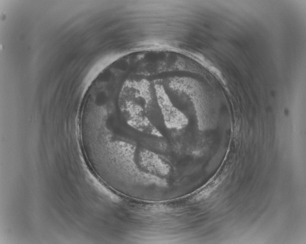 X0000067901239200604201326