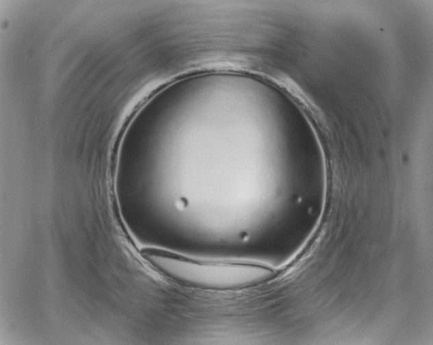 X0000067901240200604201326