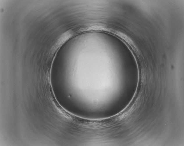 X0000067901241200604201327