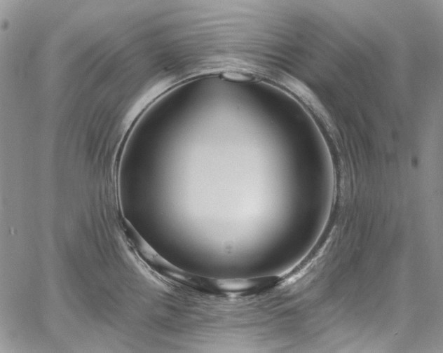 X0000067901242200604201327