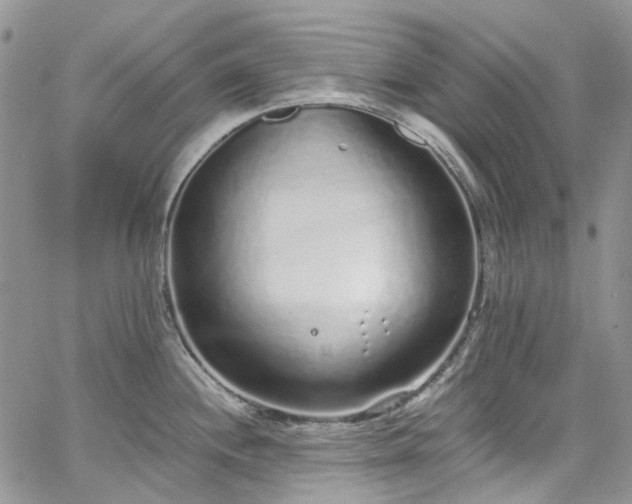 X0000067901244200604201327