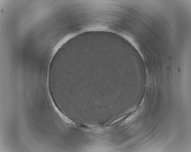 X0000067901245200604201327