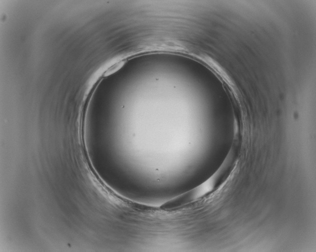 X0000067901246200604201327