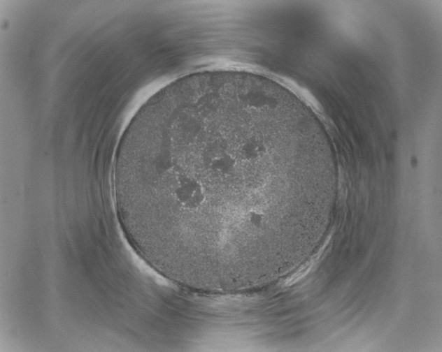 X0000067901247200604201327