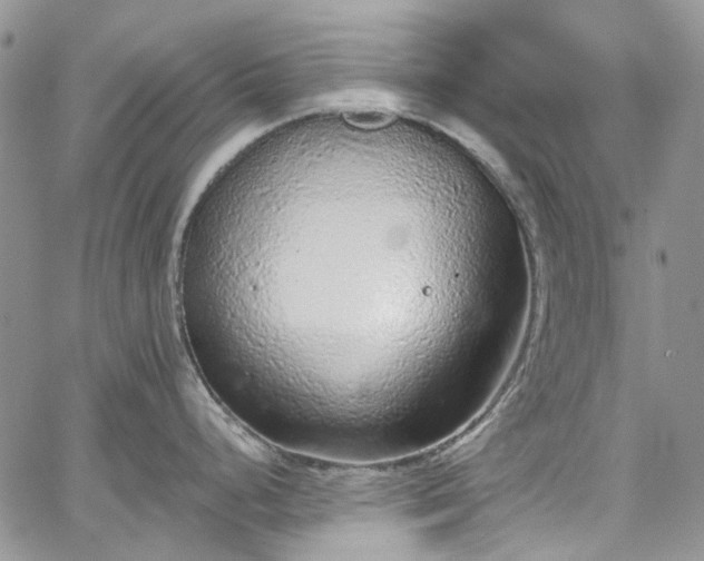 X0000067901248200604201327