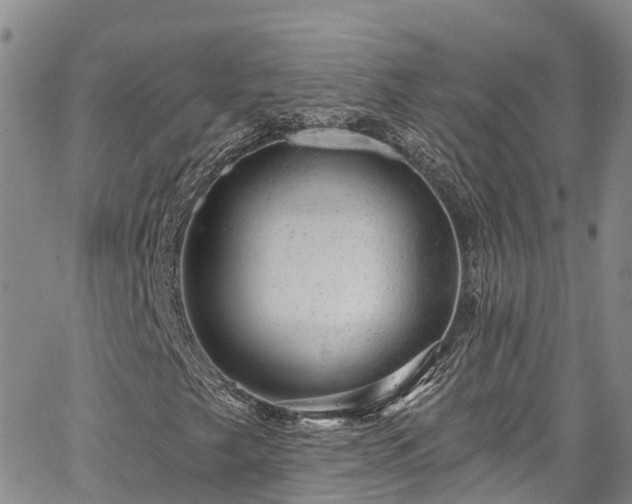 X0000067901249200604201326