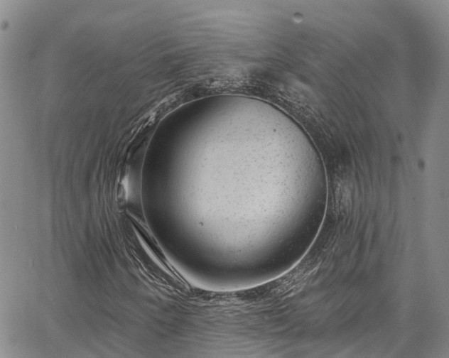 X0000067901250200604201326