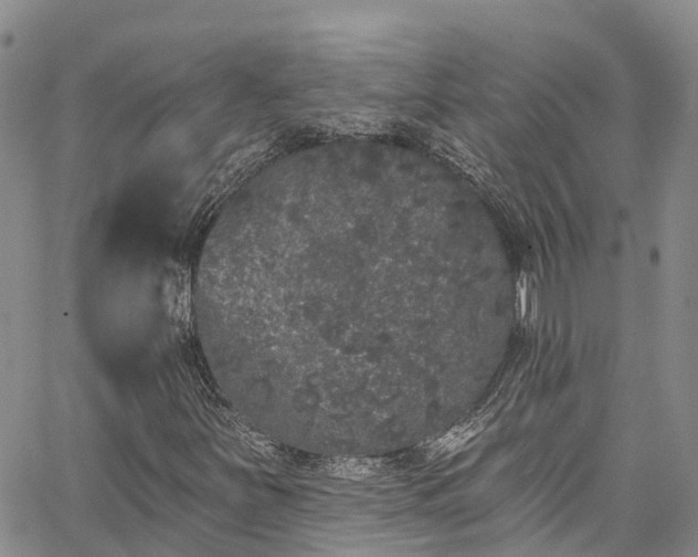 X0000067901251200604201326