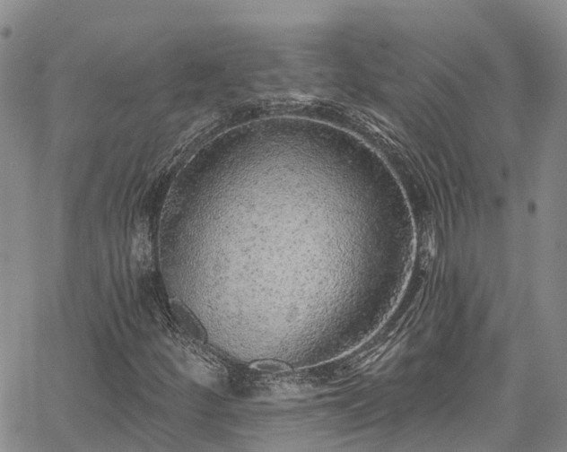 X0000067901252200604201326