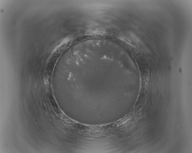 X0000067901254200604201326