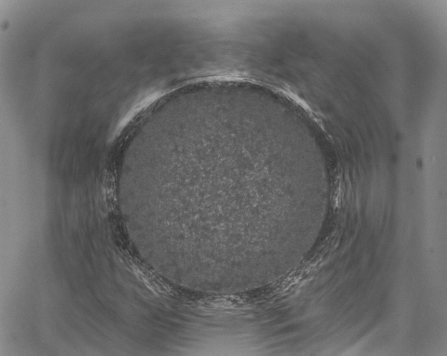 X0000067901255200604201326