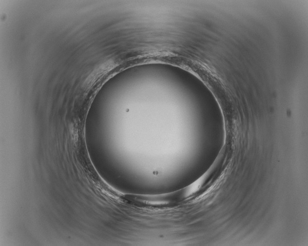 X0000067901257200604201326