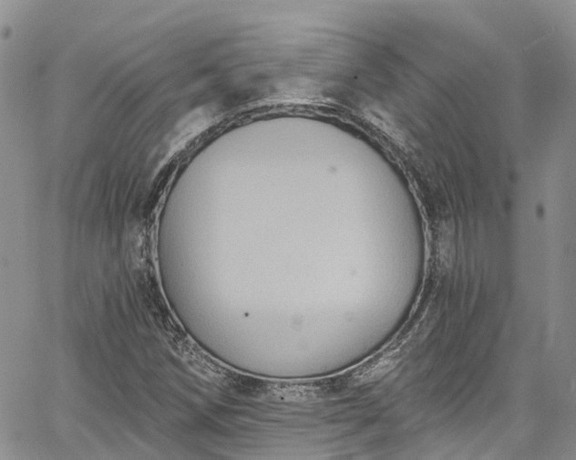 X0000067901258200604201326