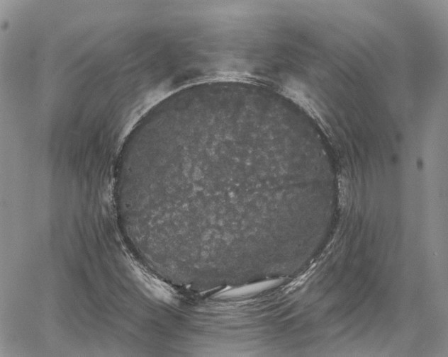 X0000067901260200604201326